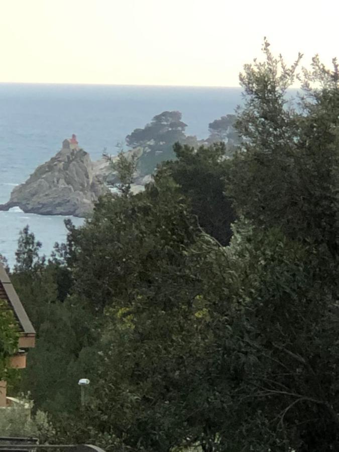 Apartmani Lime Petrovac Екстер'єр фото